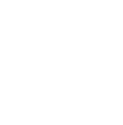 National Exhibition and Convention Center Shanghai logo