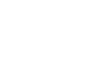 Warsaw Pack logo